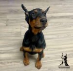 Zara | Female | 13 weeks Old
